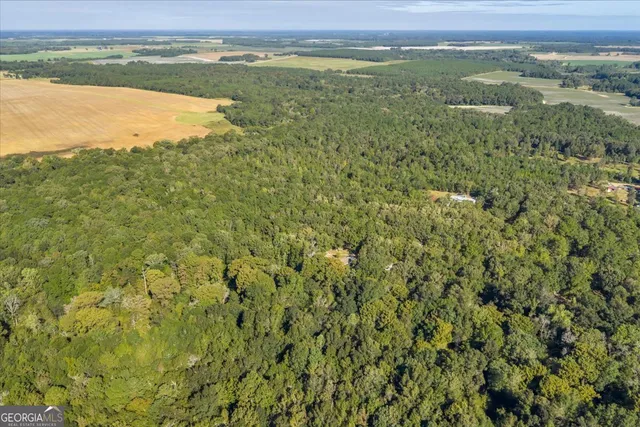 $345,000 | 81 Peach Blossom Road, Pineview, GA 31071