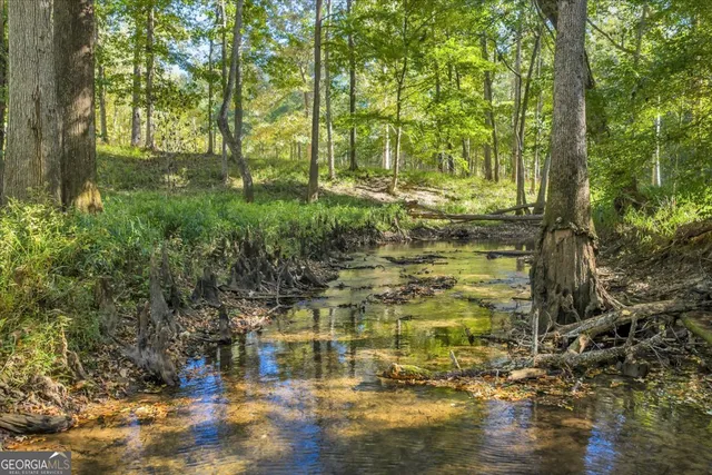 $345,000 | 81 Peach Blossom Road, Pineview, GA 31071