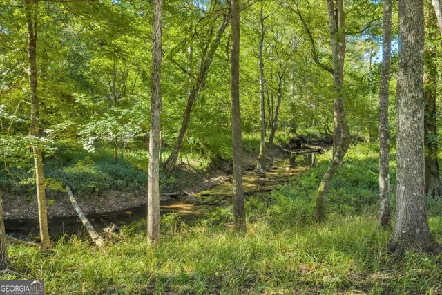 $345,000 | 81 Peach Blossom Road, Pineview, GA 31071