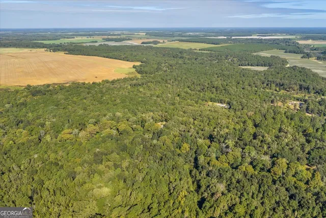 $345,000 | 81 Peach Blossom Road, Pineview, GA 31071