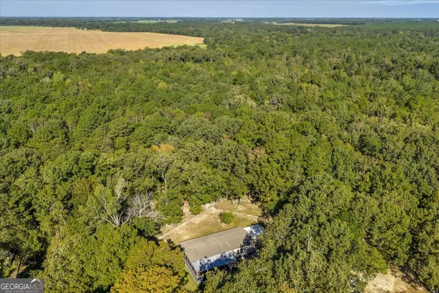 $345,000 | 81 Peach Blossom Road, Pineview, GA 31071