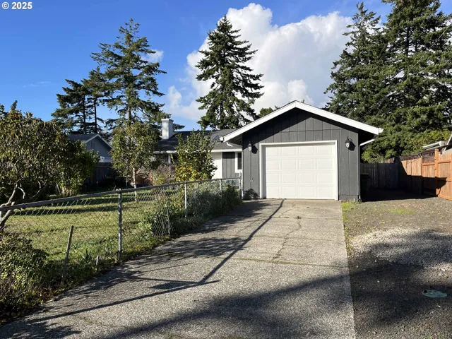 a view of a yard with plants and large trees