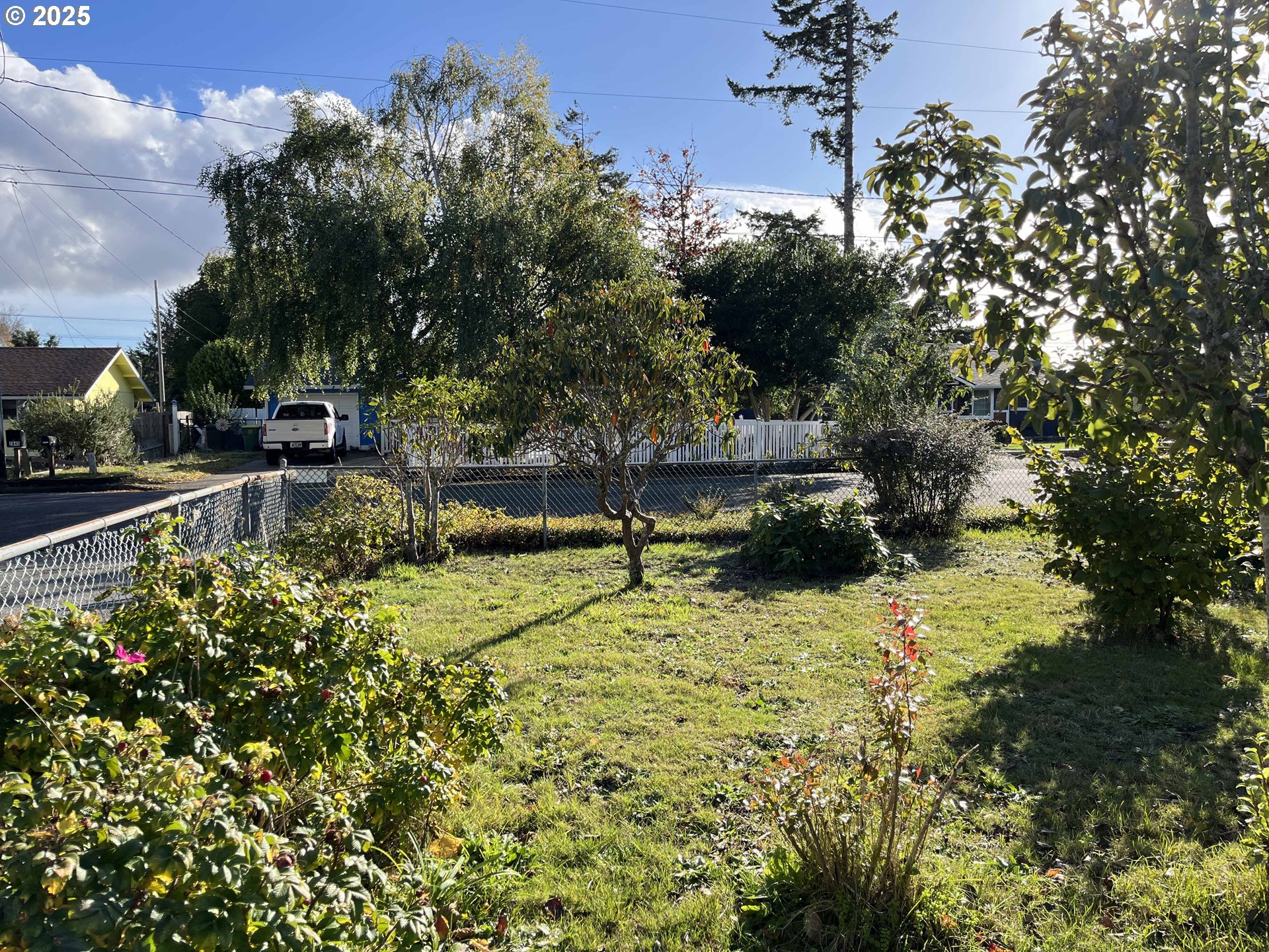 2045 19th Street Florence, OR 97439 - Photo 4 of 43 a view of a yard with plants and large trees