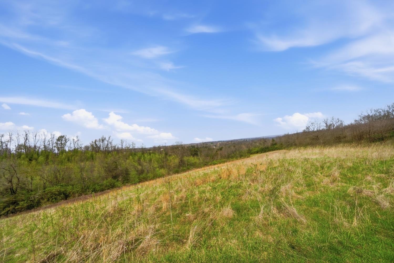 23876 State Line Road Lawrenceburg, IN 47025 - Photo 58 of 64