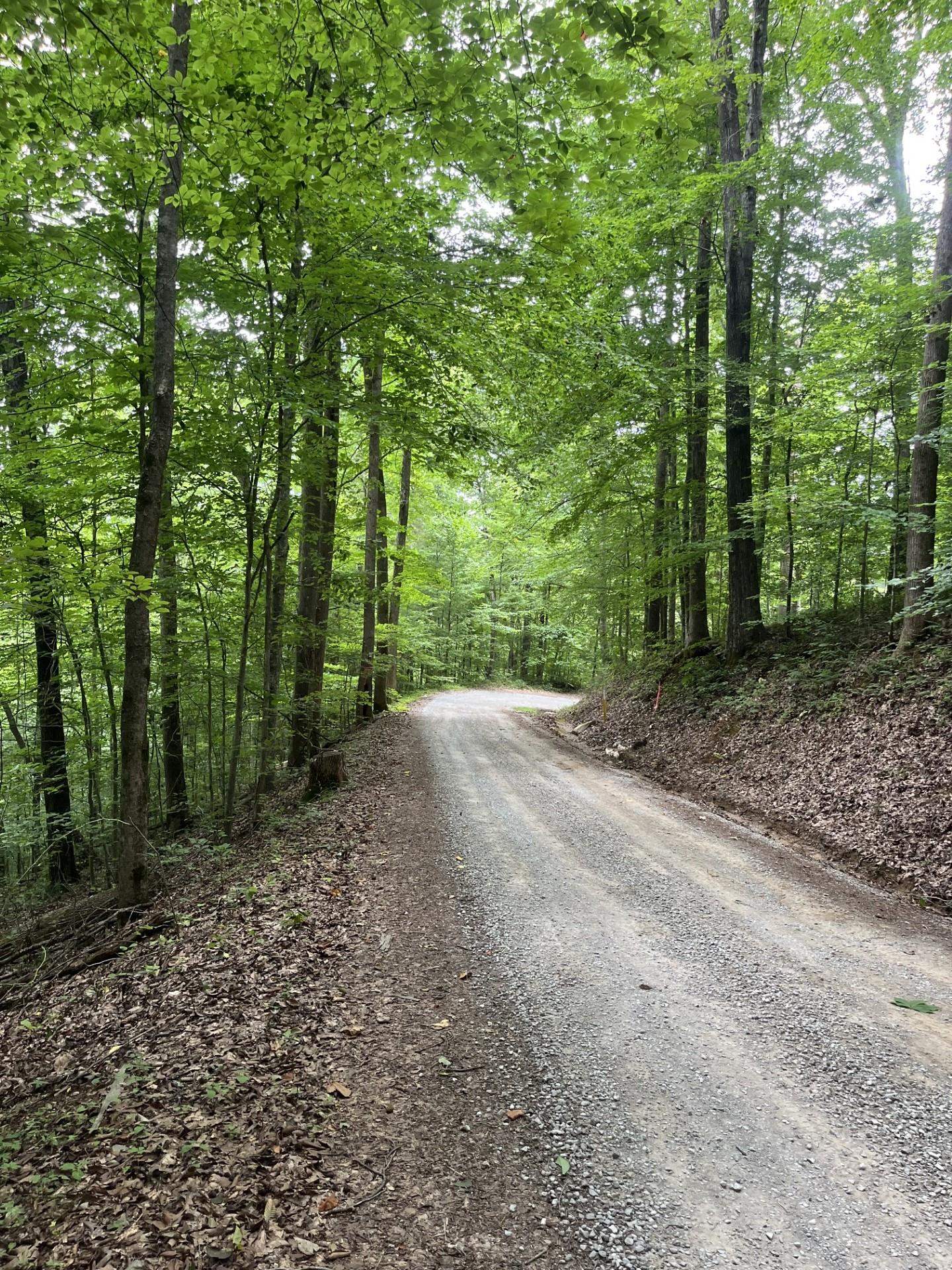 899 East L Smith Road Monroe, TN 38573 - Photo 12 of 18