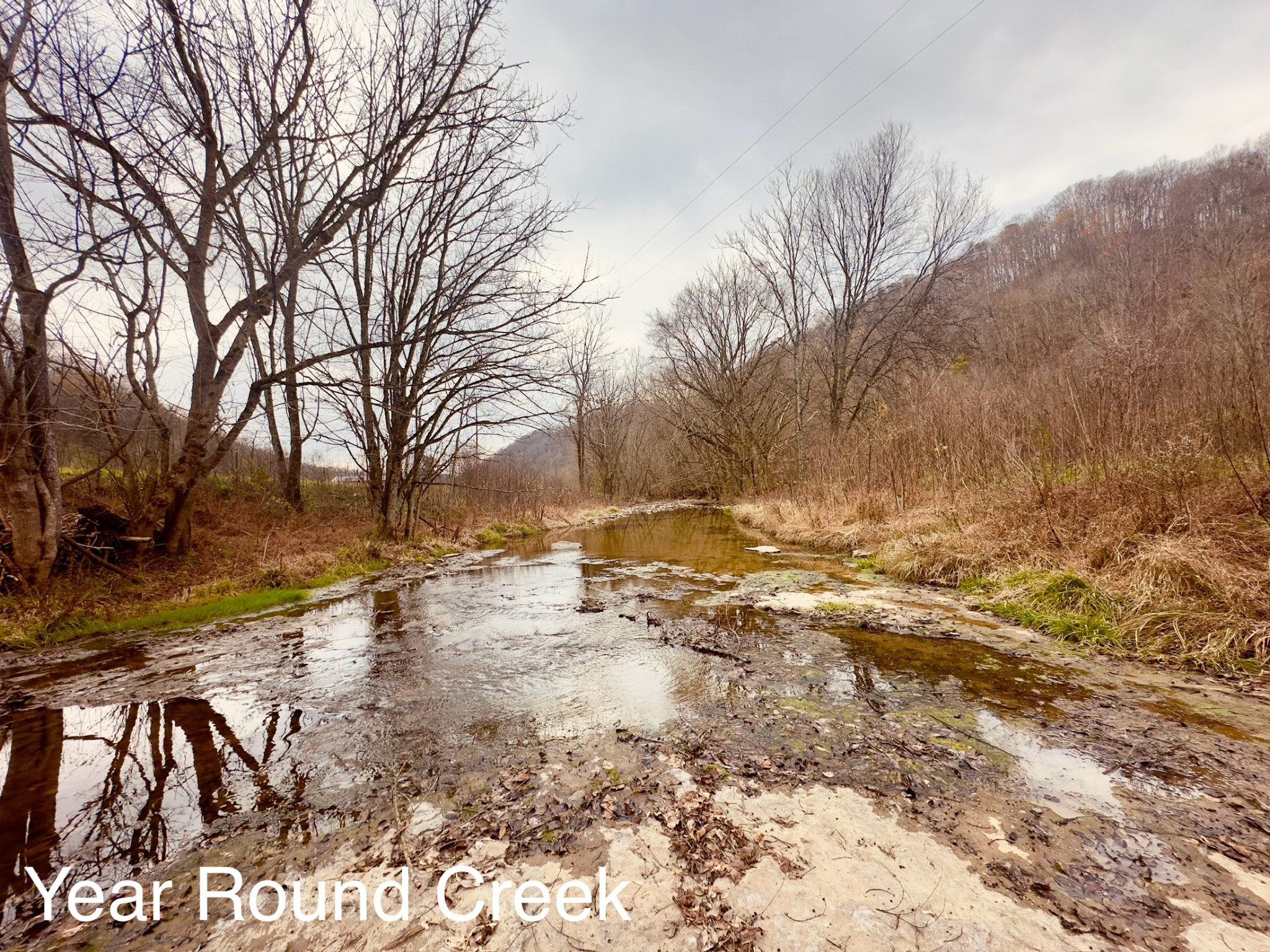 1611 Knob Creek Road Celina, TN 38551 - Photo 28 of 48