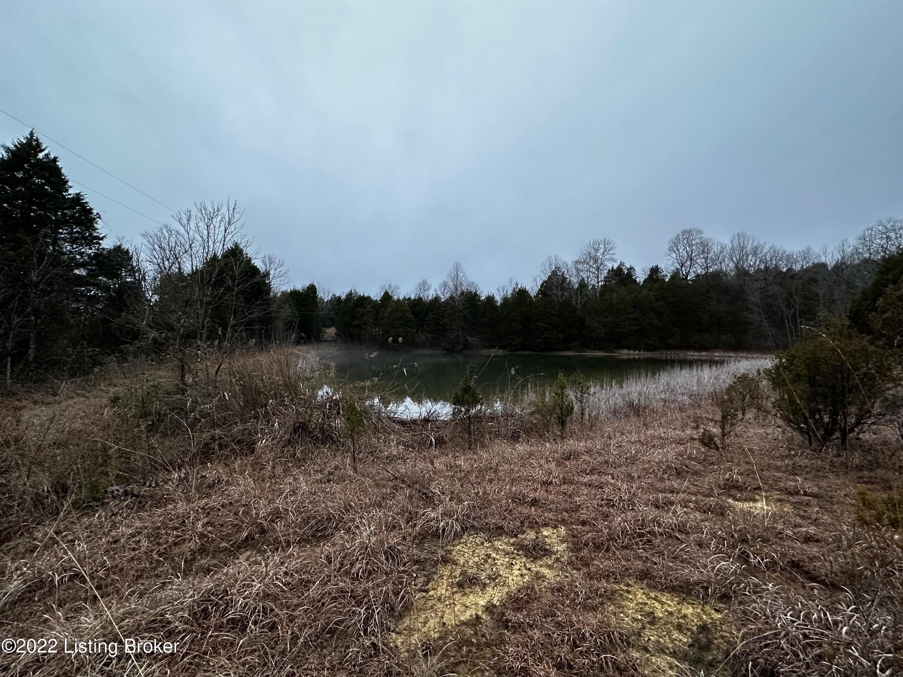 0 Mt Carmel Church Road Lebanon Junction, KY 40150 - Photo 6 of 11 7
