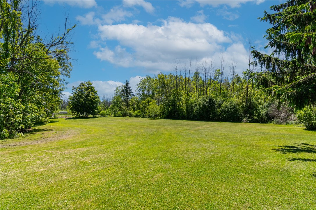 6075 Arbor Road Ontario, NY 14519 - Photo 7 of 27 Lots of privacy with no neighbors directly behind