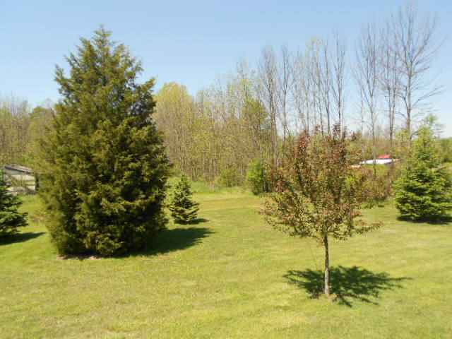 5631 South Corey Road Perry, MI 48872 - Photo 21 of 25 31102634-20.JPG