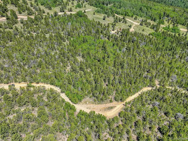 a view of a yard with plants