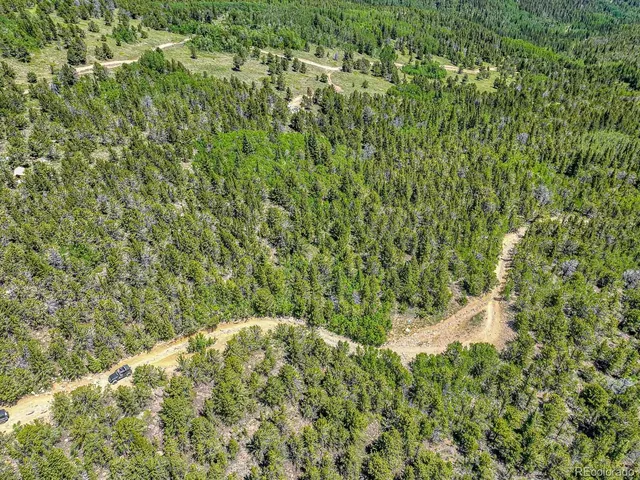a view of a house with a lush green forest