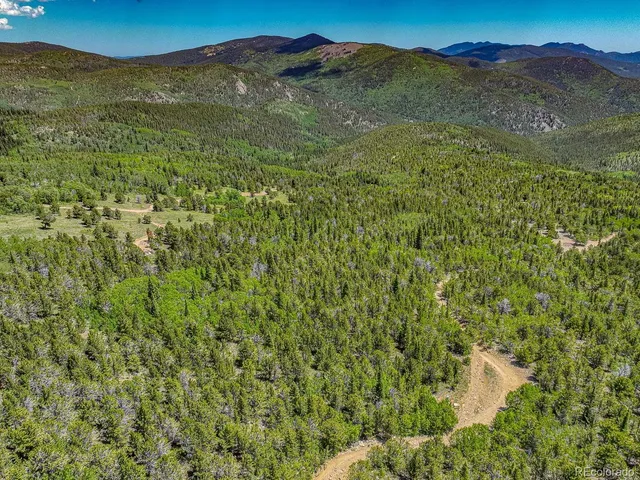 a view of a lush green hillside and a houses