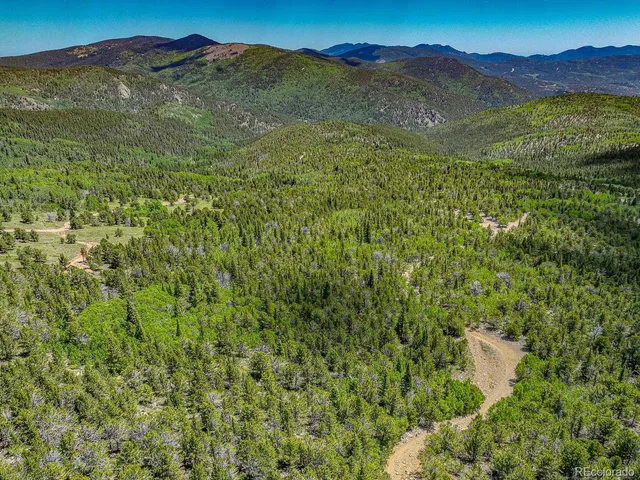 a view of an lush green hillside and a houses