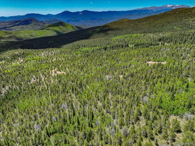 a view of a lush green forest with a mountain