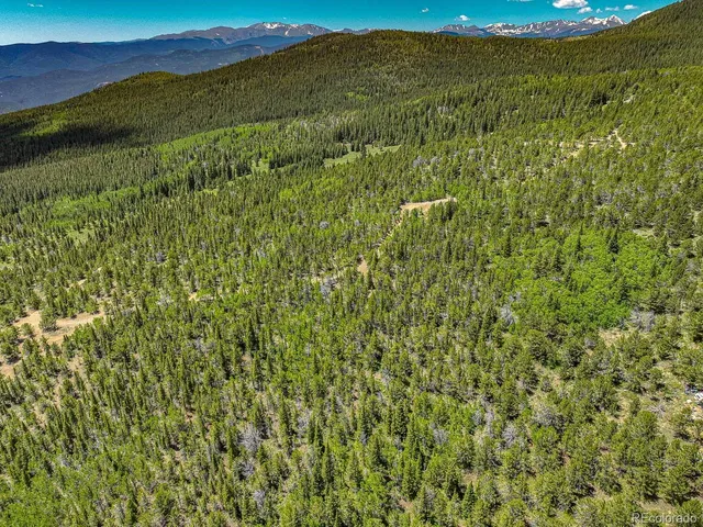 a view of a lush green field