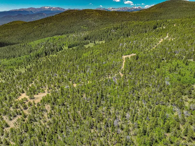 a view of a lush green forest with a houses