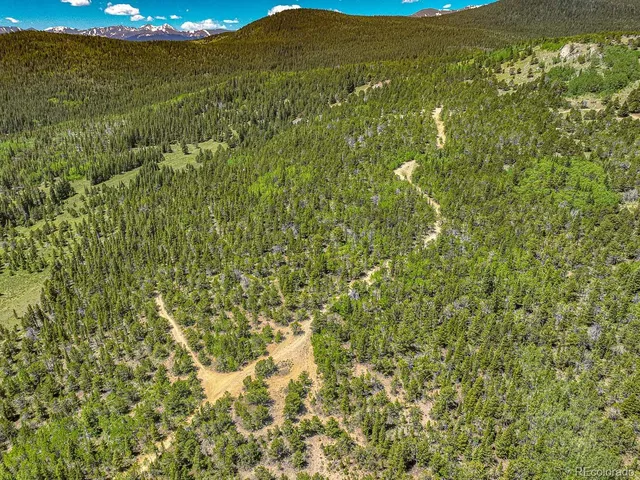 a view of a green yard with large trees