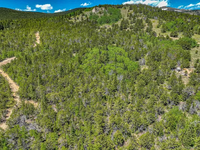 a view of a big yard with lots of bushes