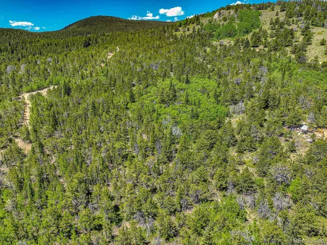 a view of a green yard
