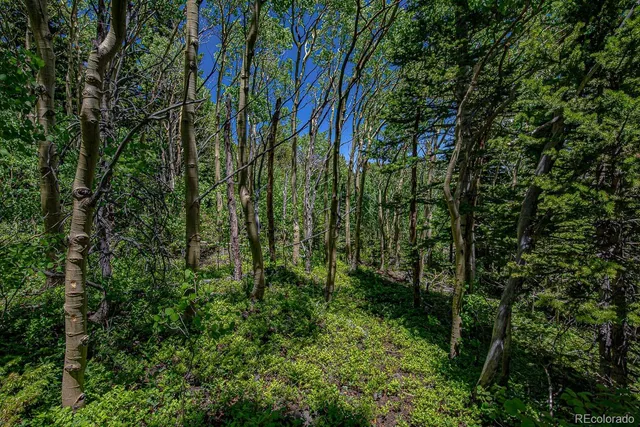 a view of a house in a yard