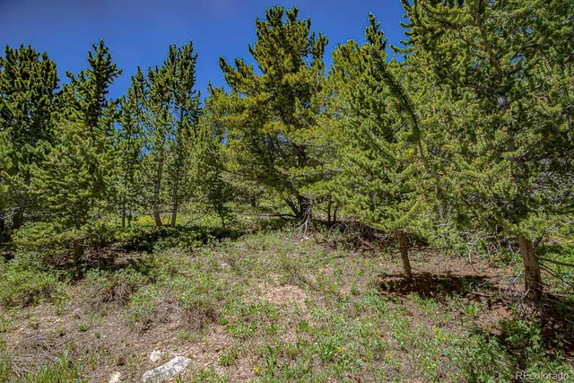 a view of a backyard of the house