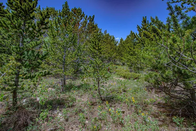 $39,900 | 111 Moldavia Claim, Idaho Springs, CO 80452