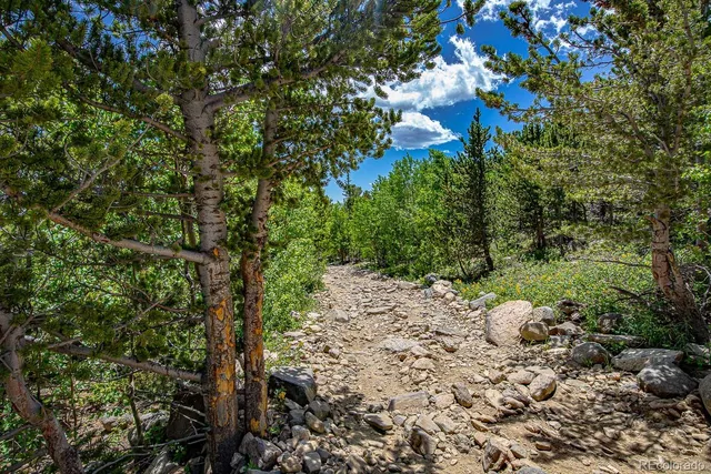 $39,900 | 111 Moldavia Claim, Idaho Springs, CO 80452