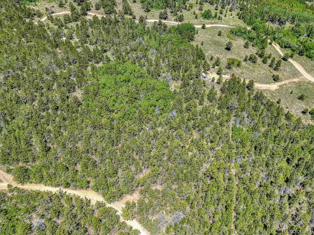 a view of a lush green field