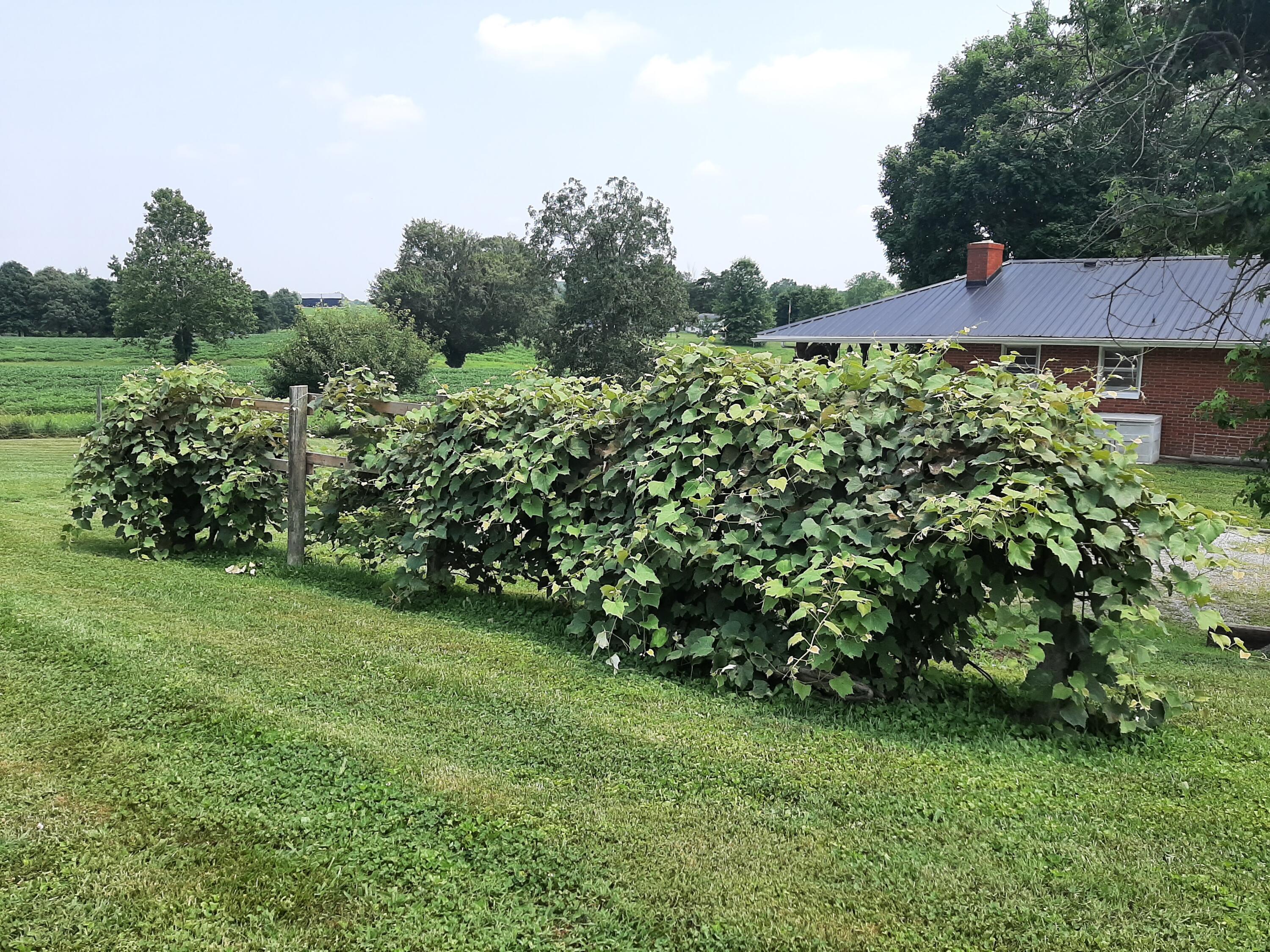 2845 Bowens Loop Road Stanford, KY 40484 - Photo 9 of 65 20210722_141937