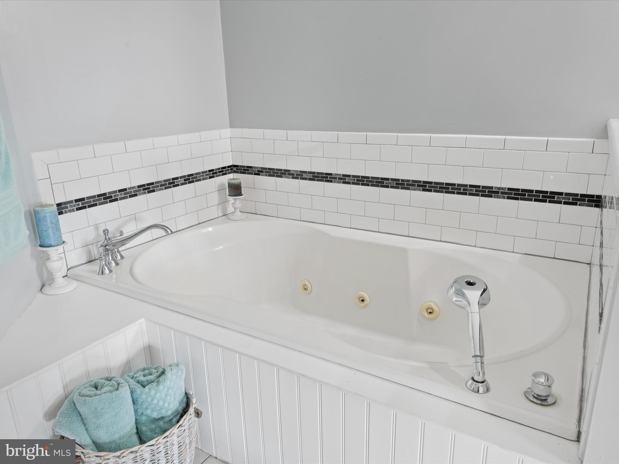 18577 Shingle Point Road Georgetown, DE 19947 - Photo 23 of 45 Soaking Tub