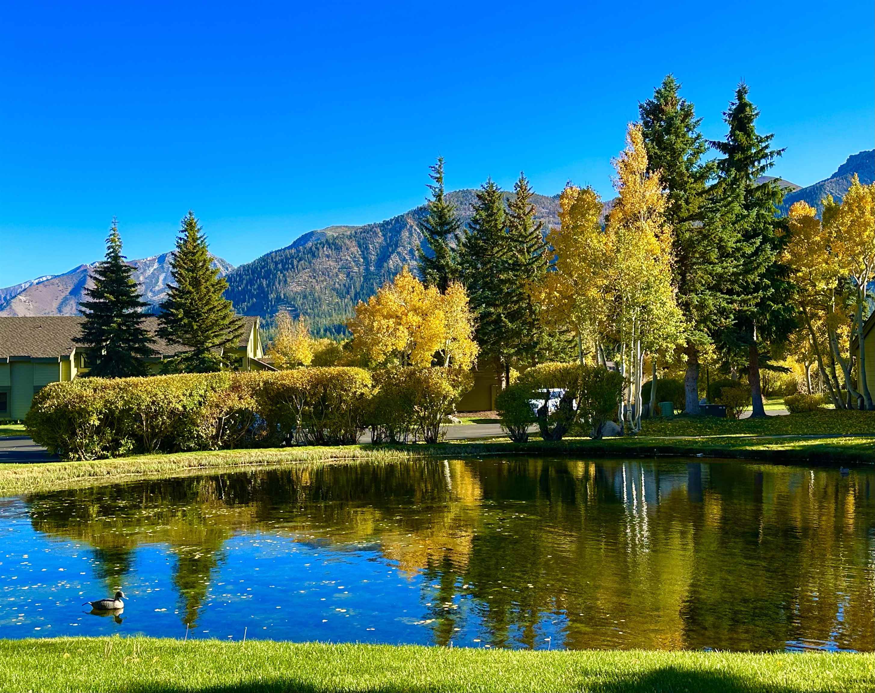 315 Fascination, Unit 315 Mammoth Lakes, CA 93546 - Photo 2 of 44 Reflecting pond with surrounding evergreen and deciduous trees, verdant lawn, and distant mountains