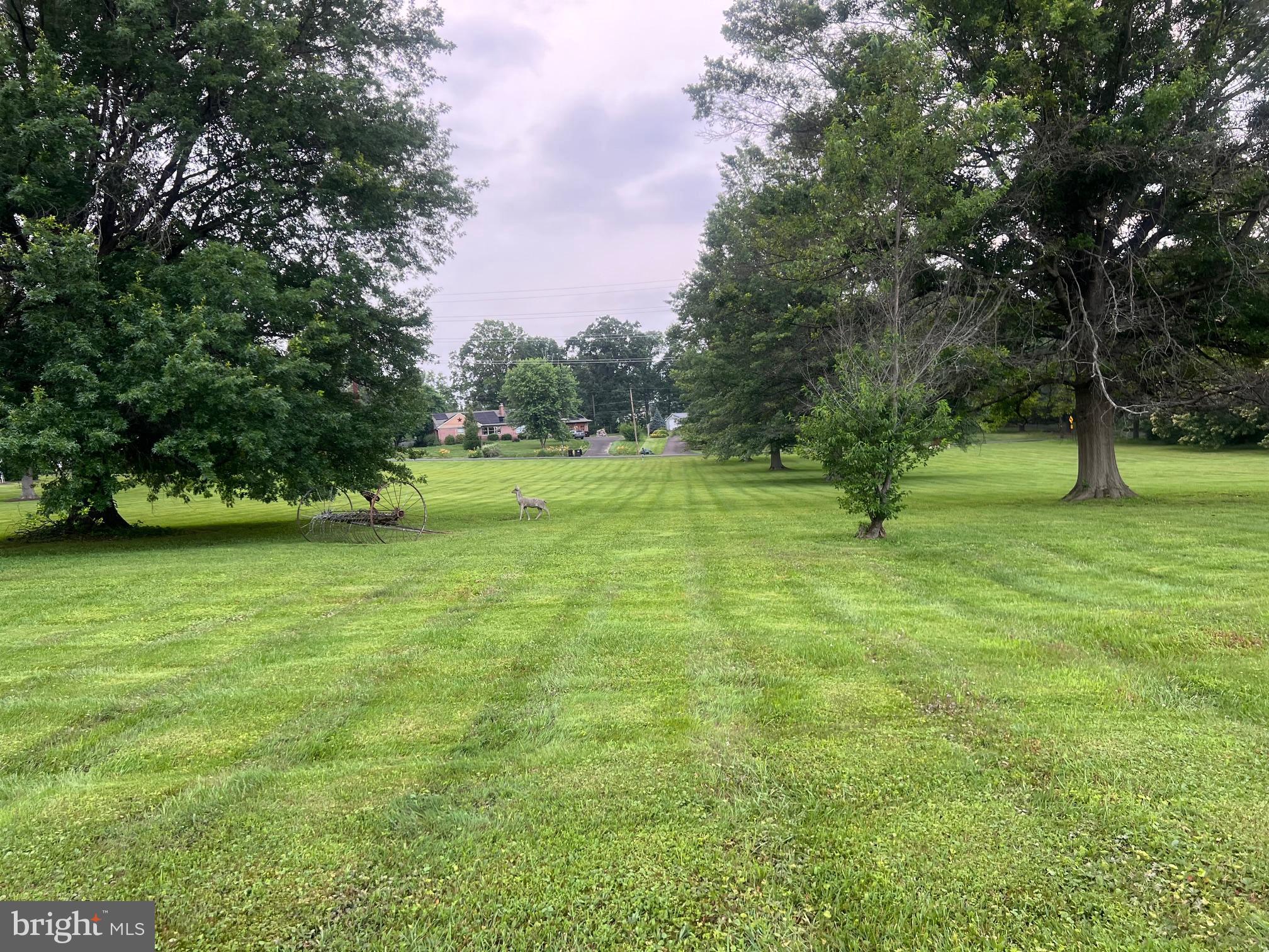a view of outdoor space with deck and yard