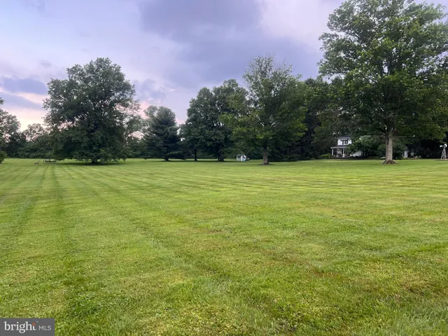 a view of a green field