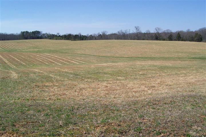 3600 Will Thompson Road Walling, TN 38587 - Photo 1 of 2 Gallery Image 1