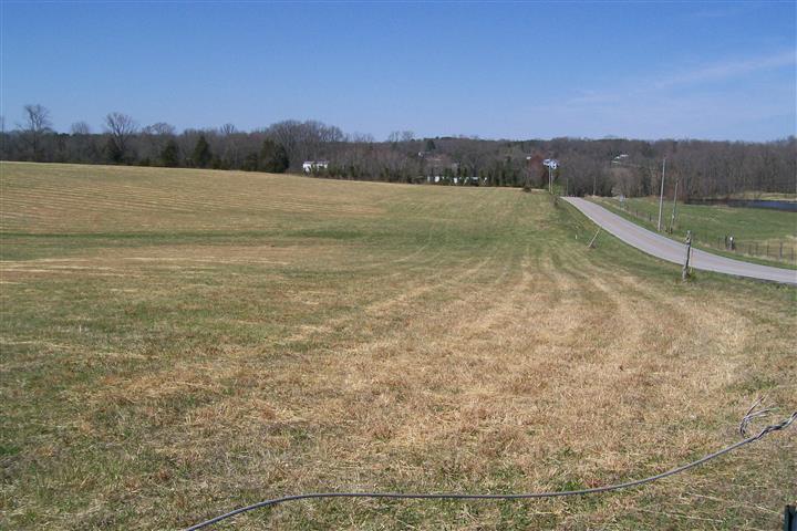 3600 Will Thompson Road Walling, TN 38587 - Photo 2 of 2 Gallery Image 2