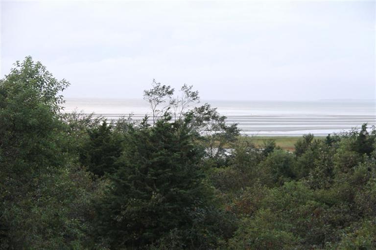 4 Franz Road Orleans, MA 02653 - Photo 20 of 30 a view of a yard and mountain in the back