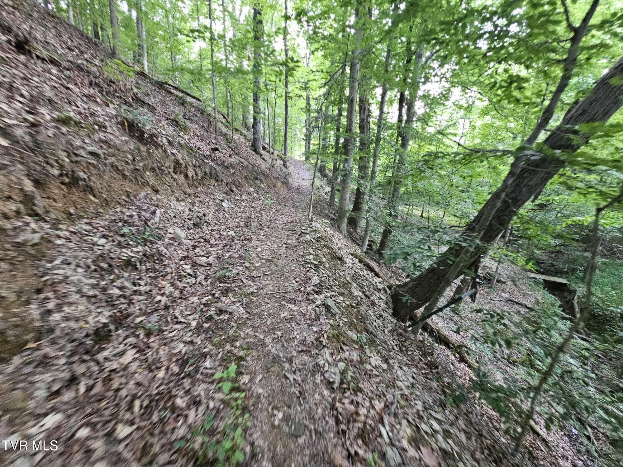 2264 Devault Bridge Road Piney Flats, TN 37686 - Photo 26 of 29 e8621f9c-0fa0-4cbb-82f8-72b65ebc483f
