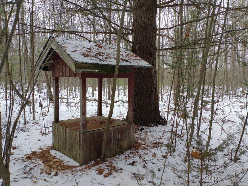 40-acres Hottis Road Whittemore, MI 48770 - Photo 2 of 23