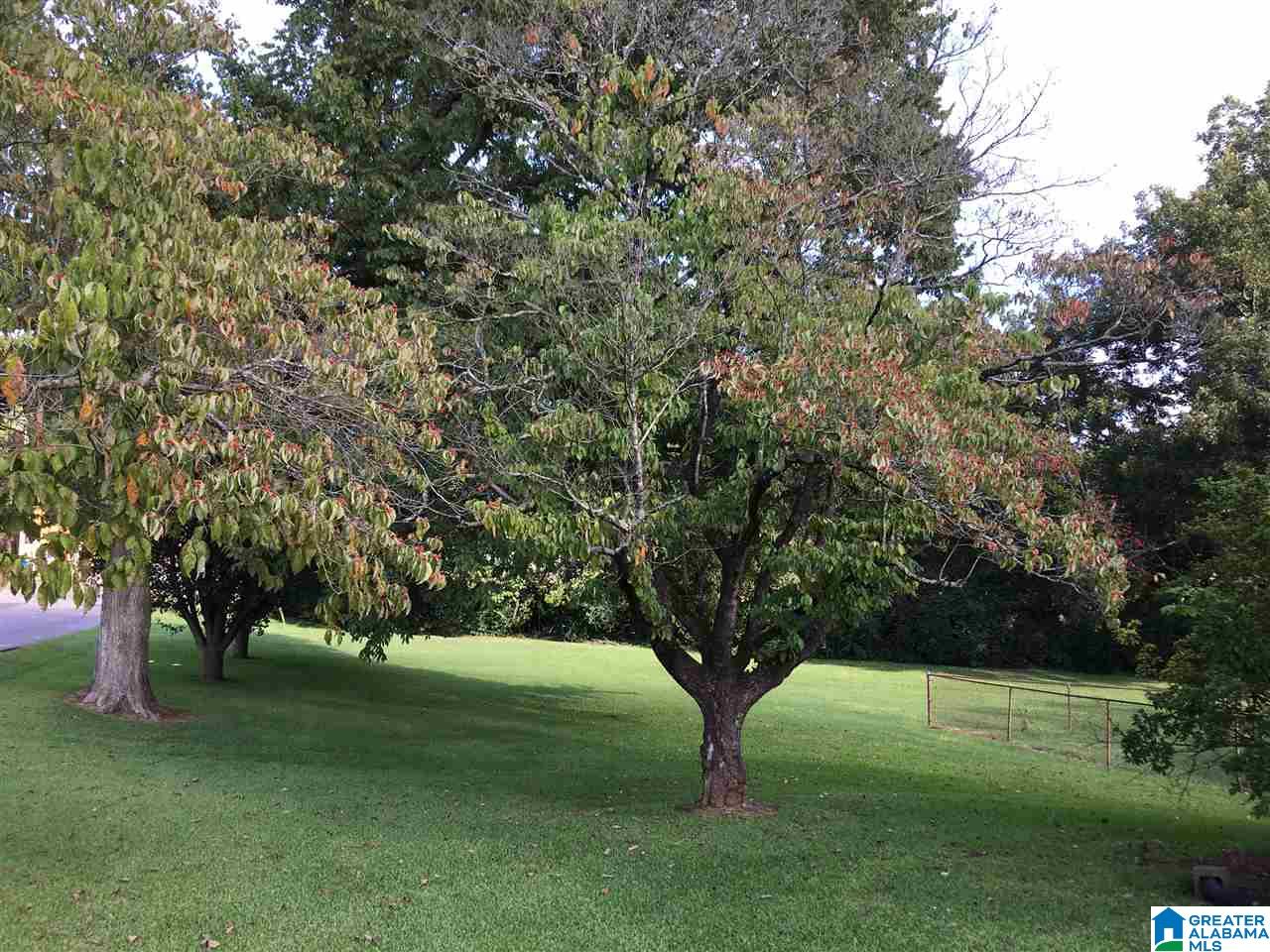 5703 5th Street South Bessemer, AL 35020 - Photo 29 of 30