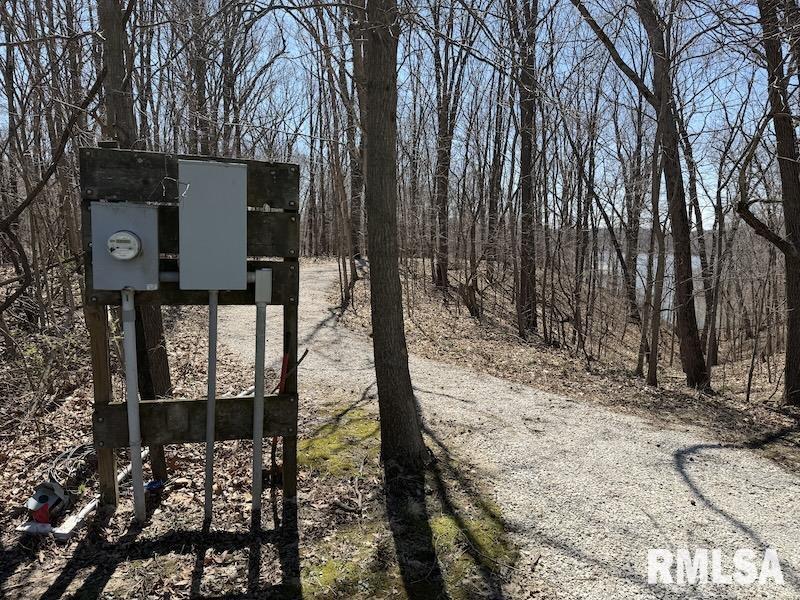 19003 North Hammer Road Marshall, IL 62441 - Photo 17 of 69