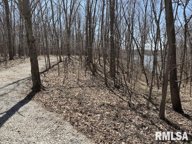 19003 North Hammer Road Marshall, IL 62441 - Photo 20 of 69