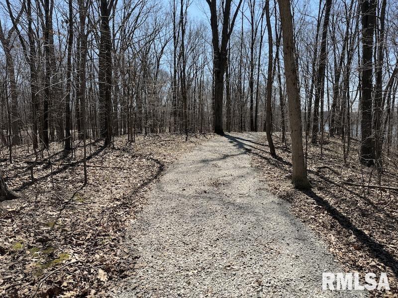 19003 North Hammer Road Marshall, IL 62441 - Photo 21 of 69