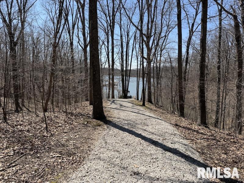 19003 North Hammer Road Marshall, IL 62441 - Photo 22 of 69