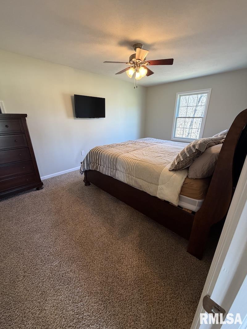 19003 North Hammer Road Marshall, IL 62441 - Photo 65 of 69