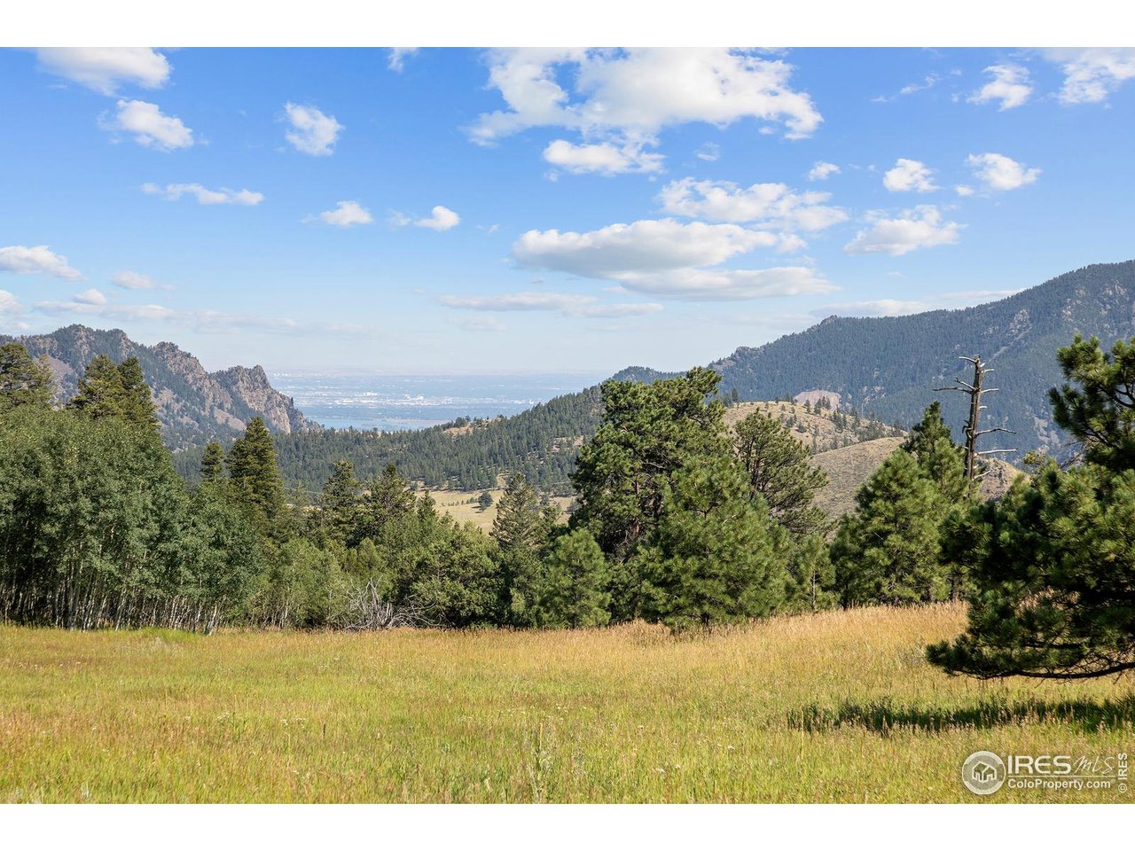 8558 Flagstaff Road Boulder, CO 80302 - Photo 14 of 50 a view of a yard