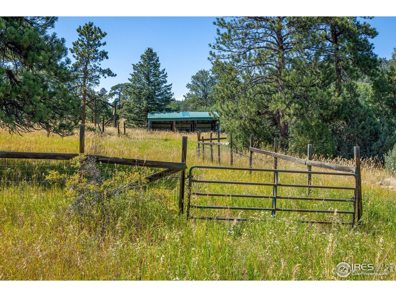 8558 Flagstaff Road Boulder, CO 80302 - Photo 47 of 50 a view of a garden