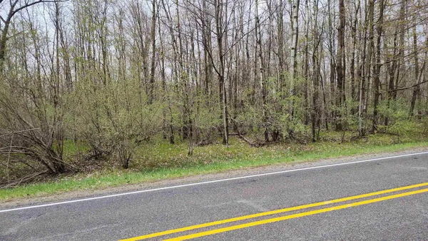 $4,300 | 1154 Queensway Drive, Weidman, MI 48893