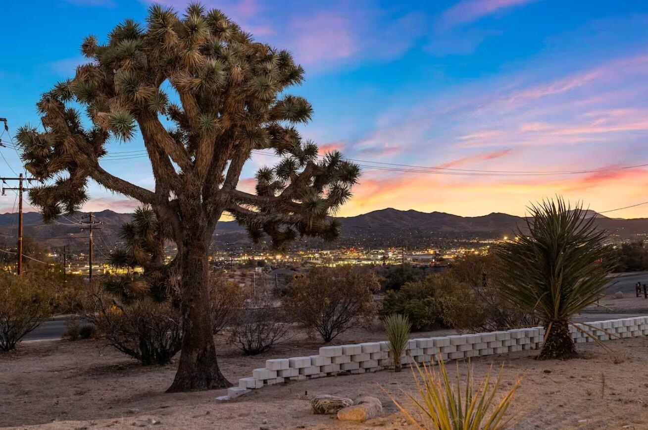 6451 Red Bluff Avenue Yucca Valley, CA 92284 - Photo 66 of 71 a view of a backyard with wooden fence and large trees