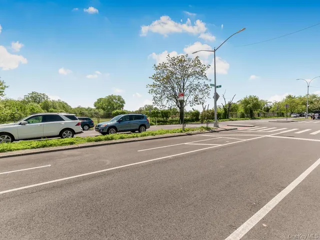 a street view with large trees