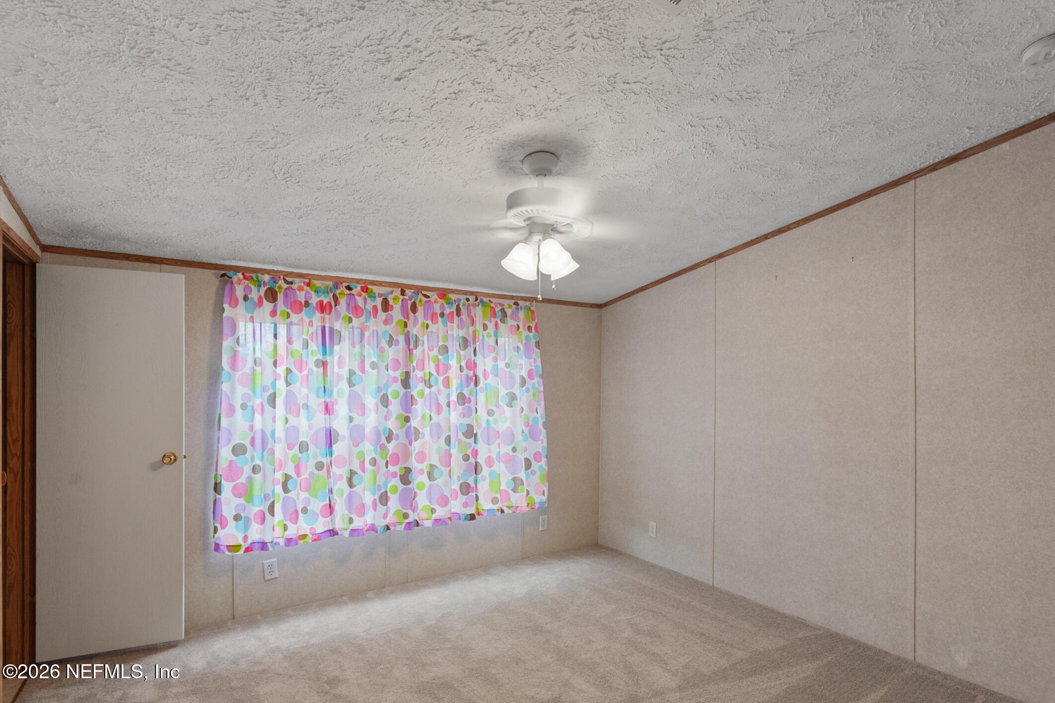 5316 Carter Spencer Road Middleburg, FL 32068 - Photo 10 of 19 IMG_0223